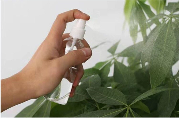 100 ml 120 ml 355 ml plastikowa szrubkowa czapka dysza pompy rozpylacz butelka dla zwierząt domowych dezynfektor ręczny butelka rozpylacza producent